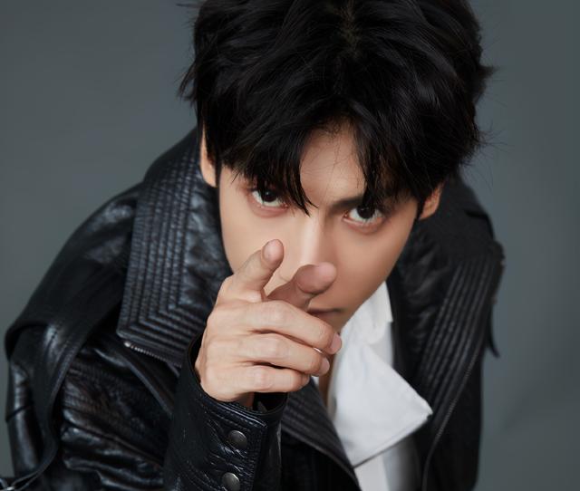 被私生杀死的明星（被私生害死的明星）