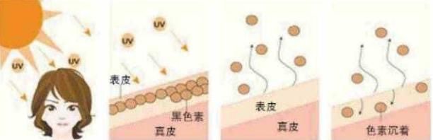 vc粉和身体乳发黄