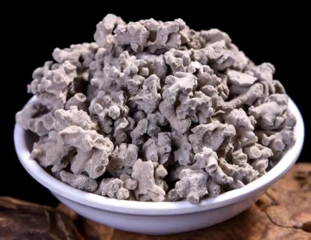 中药古今研究：浮海石（海浮石）