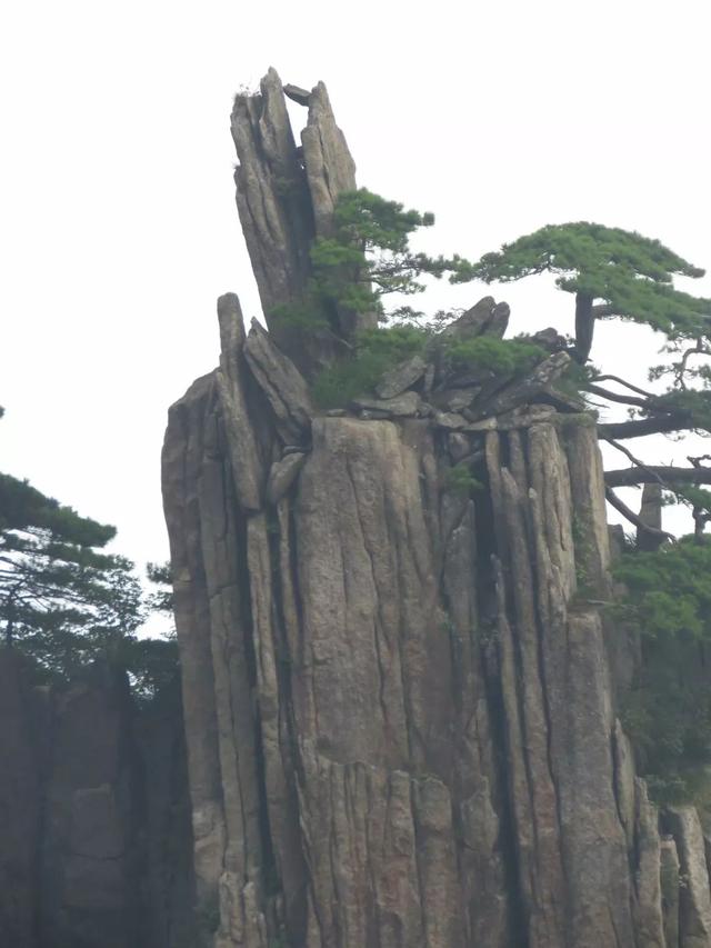 黄山奇石视频欣赏黄山第一奇观原来在这里迎客松死亡的原因