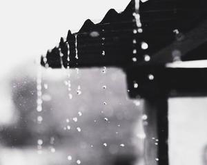 散文：听秋雨，浅愁悠悠
