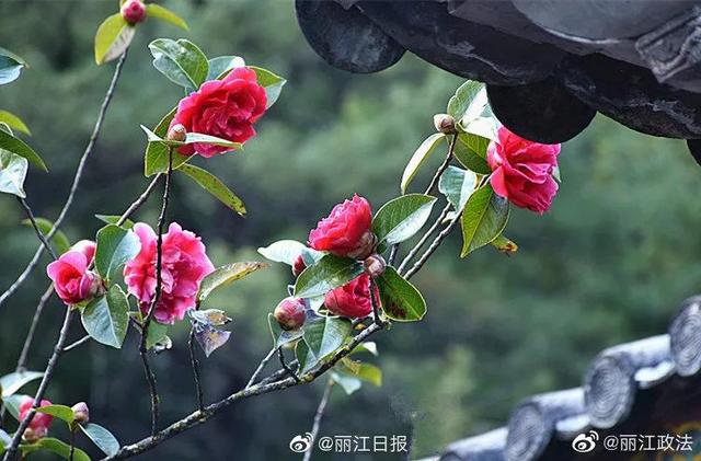 永德新型洗砂机厂商