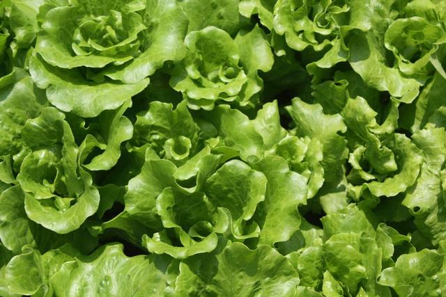 这3种蔬菜最好别放在冰箱，易生黄曲霉素，常吃有损肝脏健康