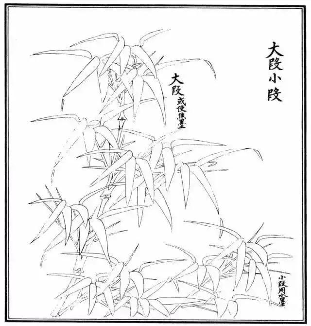 竹子怎么画 竹子怎么画