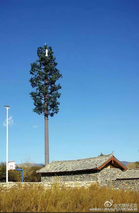 临沧轮式洗砂机报价