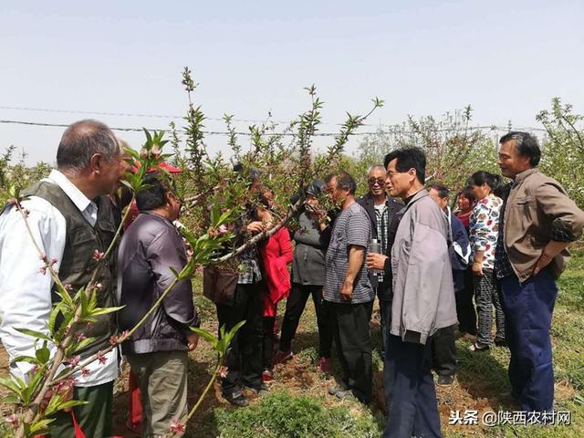 亮星展旗强堡垒党建工程