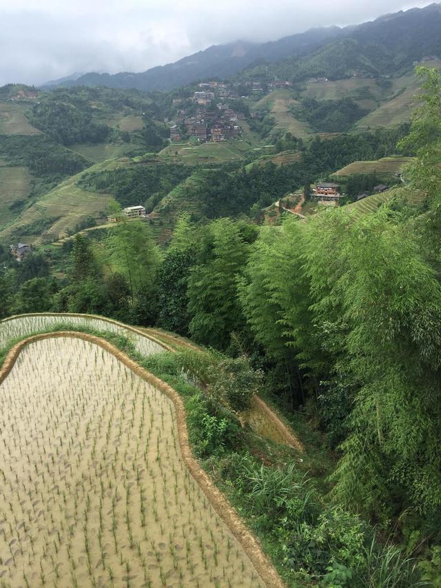 天门可逆锤式破碎机