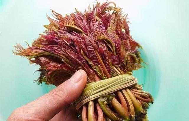 香椿芽怎么腌制好吃