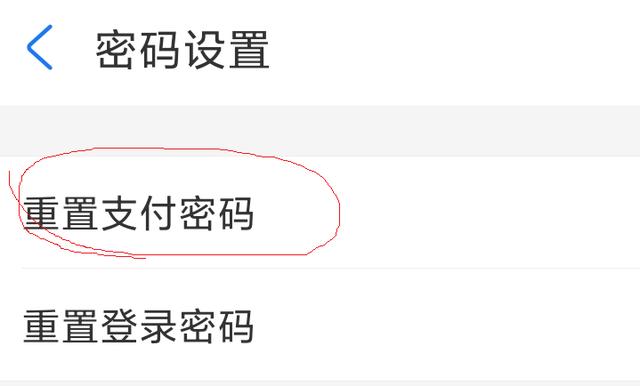 支付宝忘记支付密码怎么修改密码