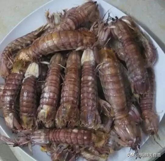 海鲜种类