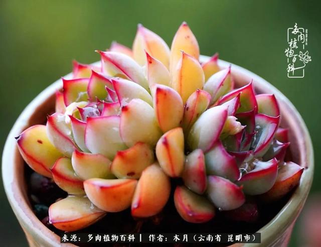 安康石英砂洗砂机厂家电话