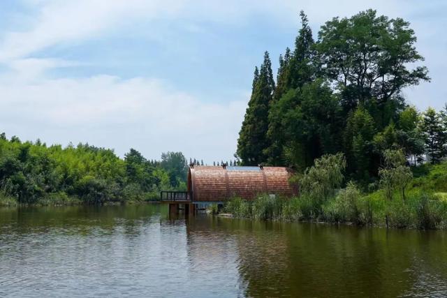 黃海森林公園團建