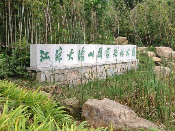 江苏新整几个森林公园（江苏巨无霸公园走红）(2)