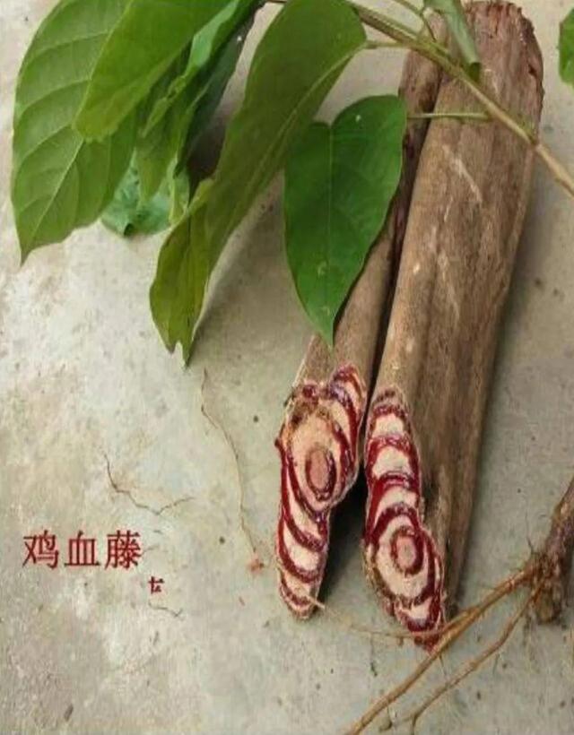 有多少人对这两种植物傻傻分不清 全网搜
