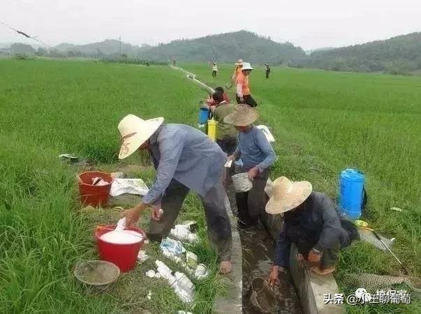 甲维盐千万不能这么用！不然药效全无5