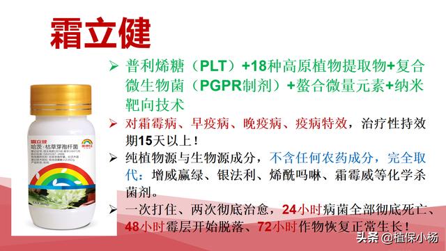 霜霉病用药方案8