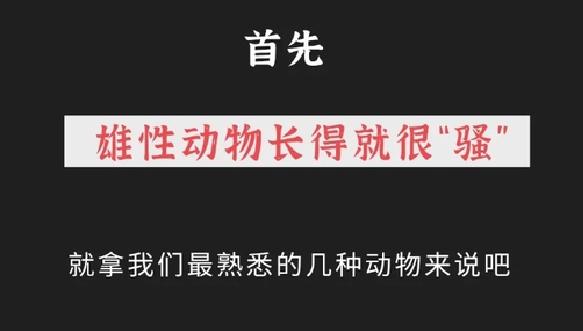 骚男人什么意思
