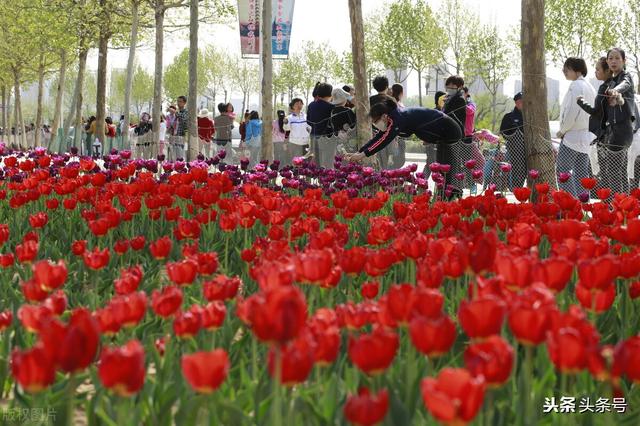 潍坊中学老师工资水平「潍坊各地区教师工资」