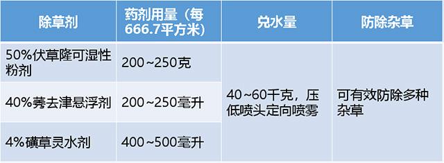 五分钟农技课：甘蔗除草，如何选药？6