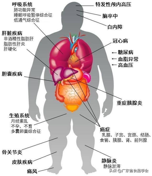 健康饮食知识