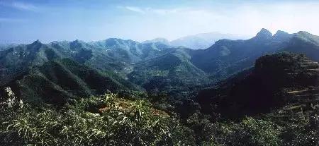 发现一个带娃露营好地方（周末溜娃哪里去）(21)