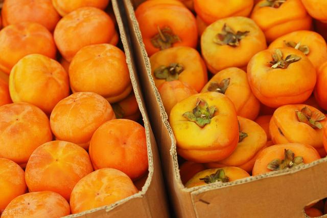 壹健康小知识：脆柿直接吃还是等放软了再吃？吃脆柿要吐皮吗