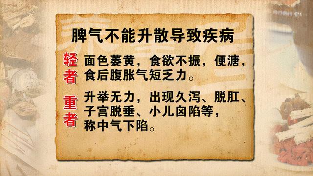 养生脾四味：人参、姜、炙甘草和大枣