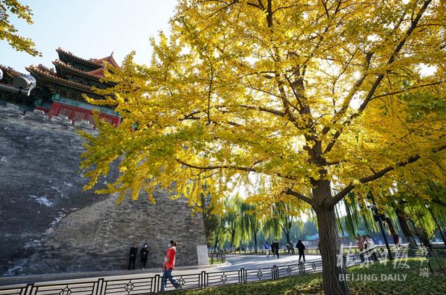 北京风景图片