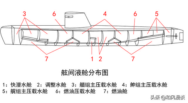 鱼鳔是什么