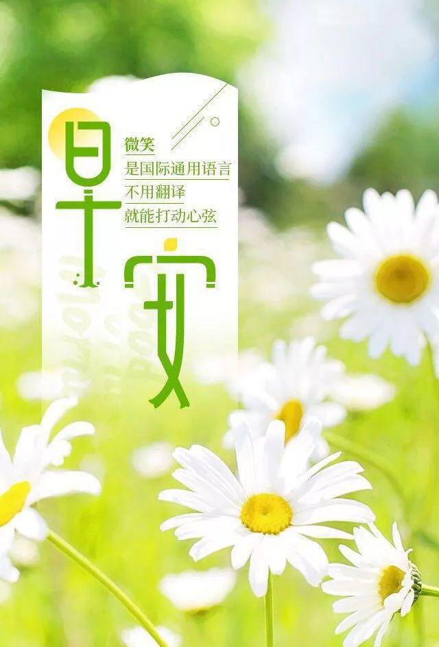 星期天早安心语激励：只要你心存不甘，就还不到放弃的时候
