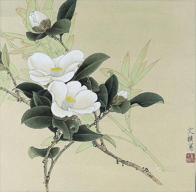 山茶花 山茶花（山茶花的花语） 生活