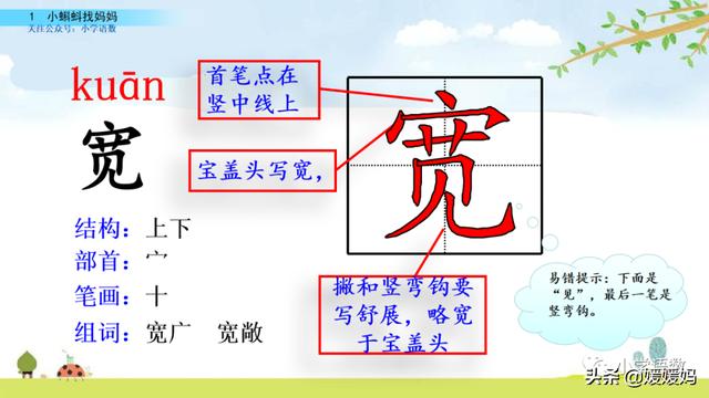 小蝌蚪先长前腿还是后腿