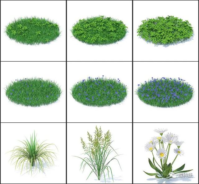「素材」野生园艺植物树木绿色花朵3D模型素材C4DMAXFBXOBJ