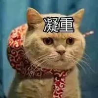 猫癣