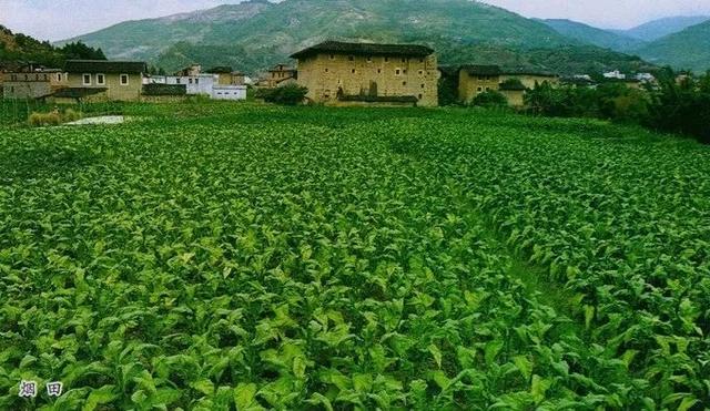 新民河卵石制砂机小型
