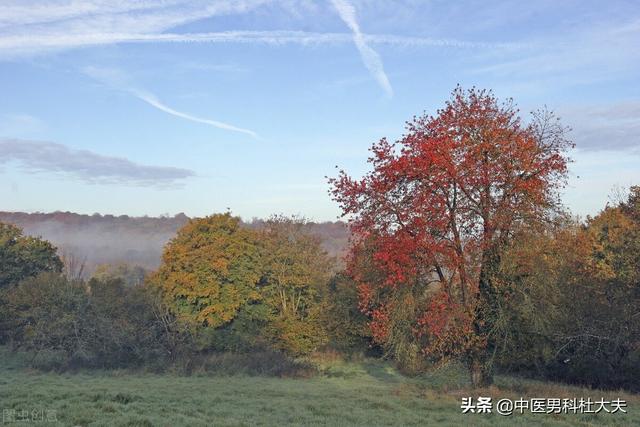 脉象弦细，脾气暴躁，肝气郁结，宗筋失养型ED，中医该如何调理？