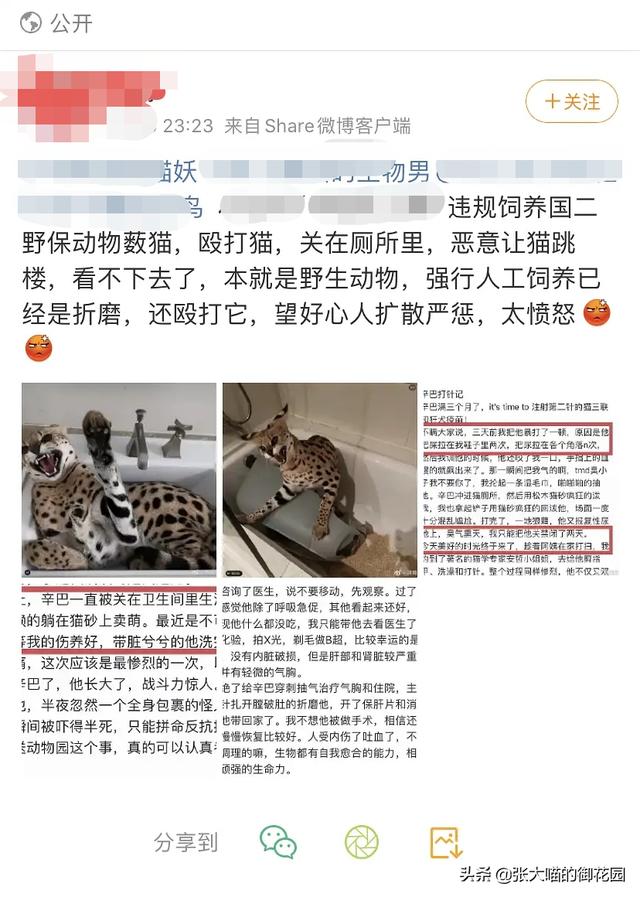 吸猫为什么是犯法的