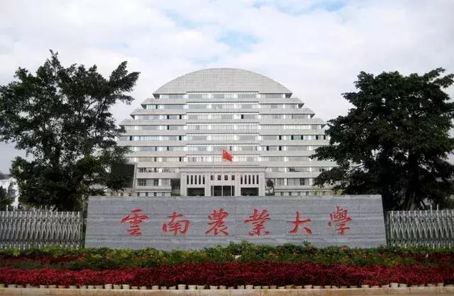 威龙综合破碎机3000