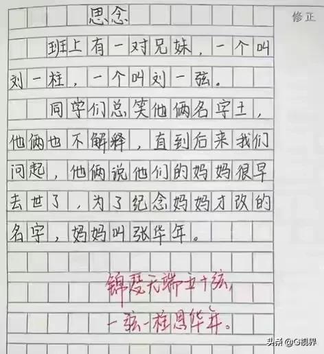 一弦一柱思华年