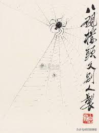 蜘蛛出现的时间寓意象征着什么
