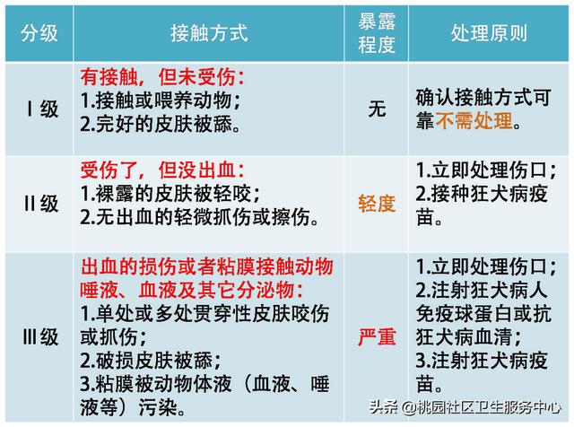 狂犬疫苗打几针 狂犬疫苗打几针（被猫咬千万不要打狂犬疫苗） 动物