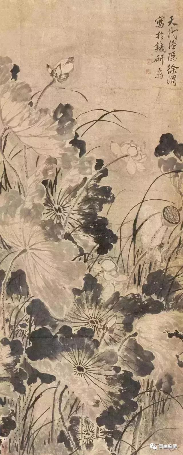 徐渭花鸟画作品图片(陈淳徐渭花鸟画作品)-天晟网