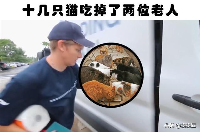 狼狗吃人