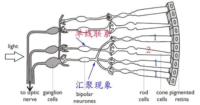 颜色辨别