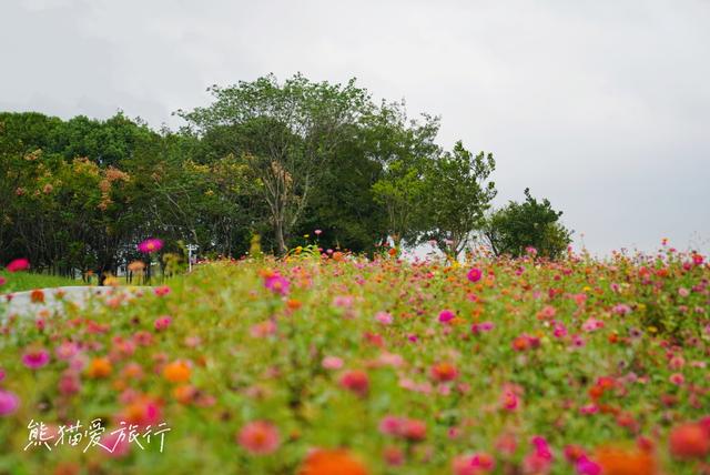 江南水乡旅游