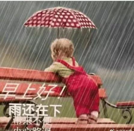 雨天早安问候语图片