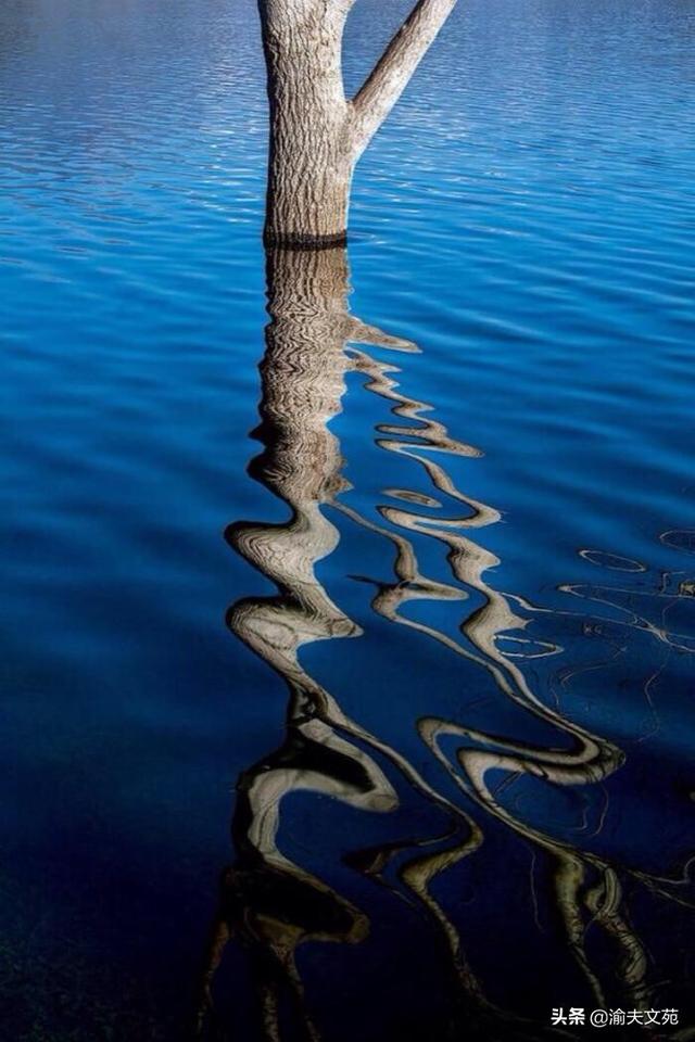 恋心痕txt下载(恋痕歌曲视频教程)