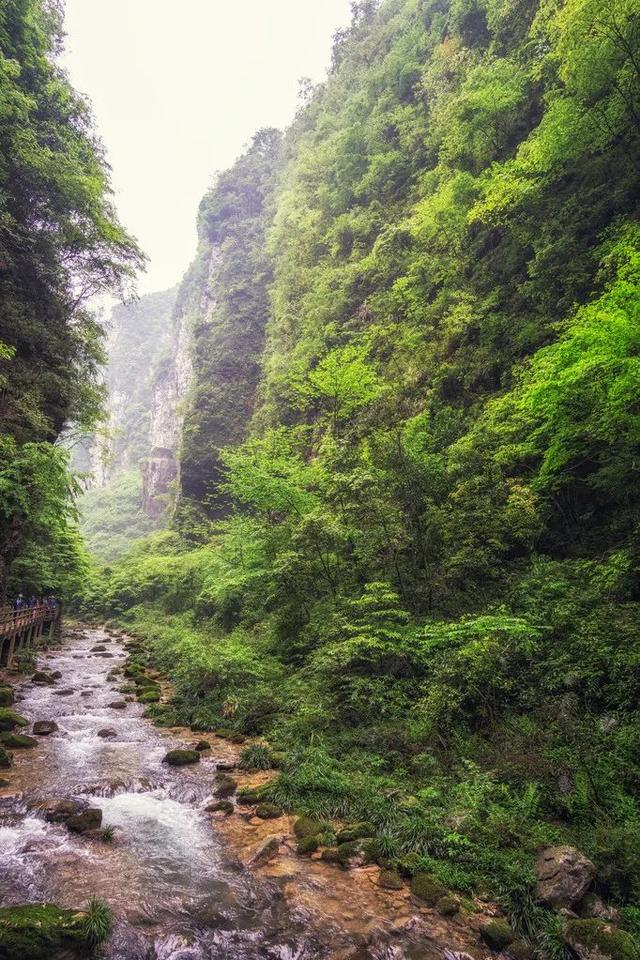 沟壑的意思（沟壑纵横的意思）