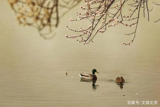ĴաƬú | 롰ʹ ĴӰƷн