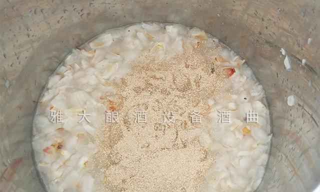 资阳荔枝酒过滤机